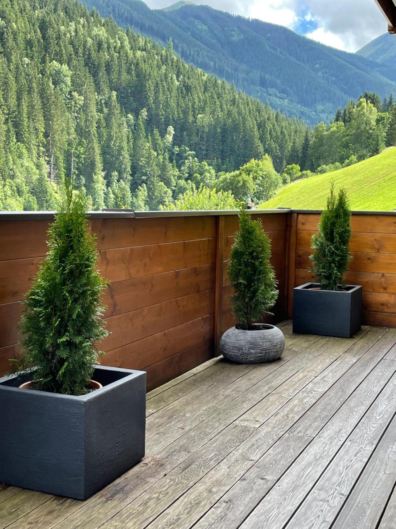 In Out Neu Und Gehoben